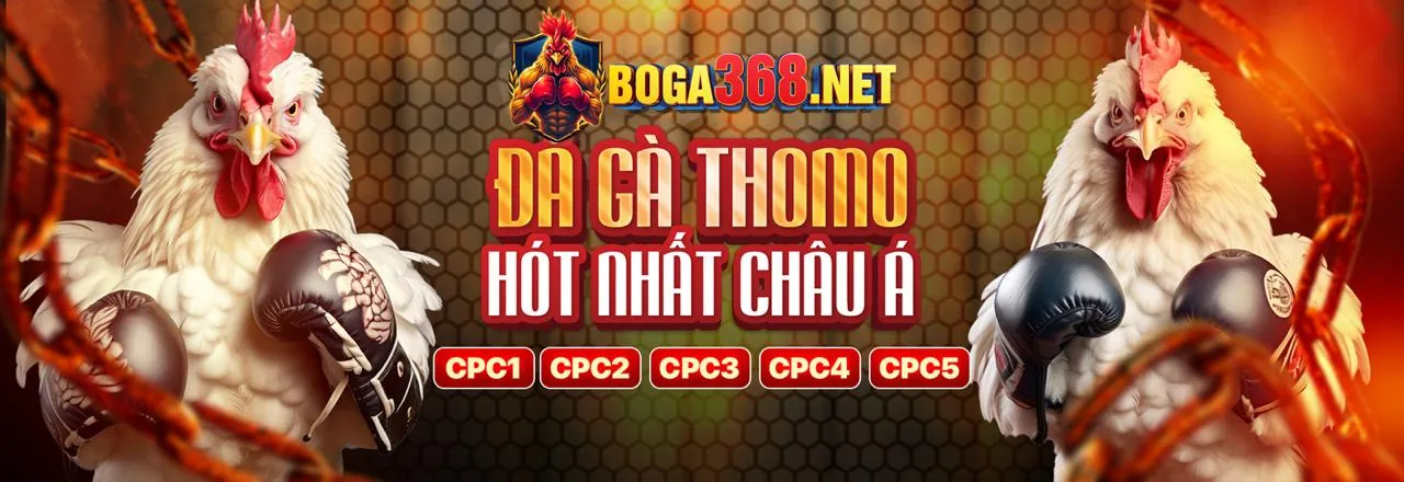 Hình ảnh chính Vabo88 hướng dẫn chơi game cá cược trực tuyến