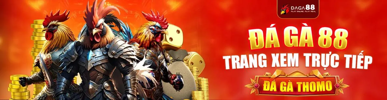 Đá gà trực tuyến Vabo88